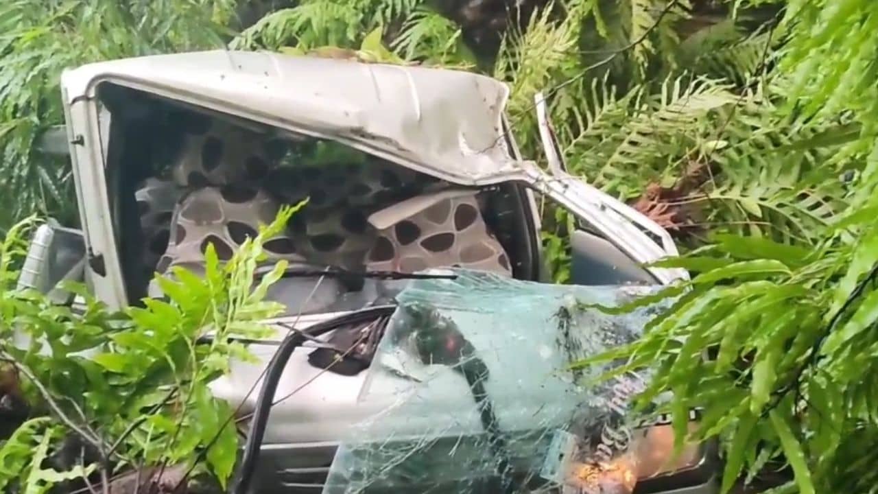 Weather Update: হু হু করে বাড়ছে তিস্তার জল, নামল ধস, এলাকা ভাসছে প্রবল বৃষ্টিতে