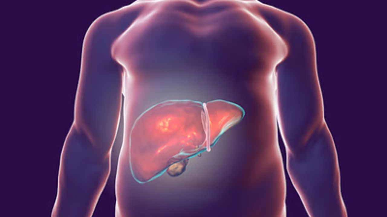Hair Care and Liver Health: লিভারে সমস্যা দেখা দিলে চুলে কী কী ক্ষতি হয় জানেন? Hair Care and Liver Health: লিভারে সমস্যা দেখা দিলে চুলে কী কী ক্ষতি হয় জানেন?