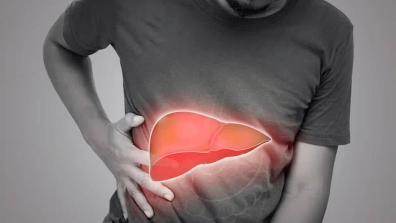 Liver: গরমের জন্য দুর্বল-ক্লান্ত লাগছে? সমস্যাটা লিভারে নয়তো? কী ভাবে বুঝবেন?