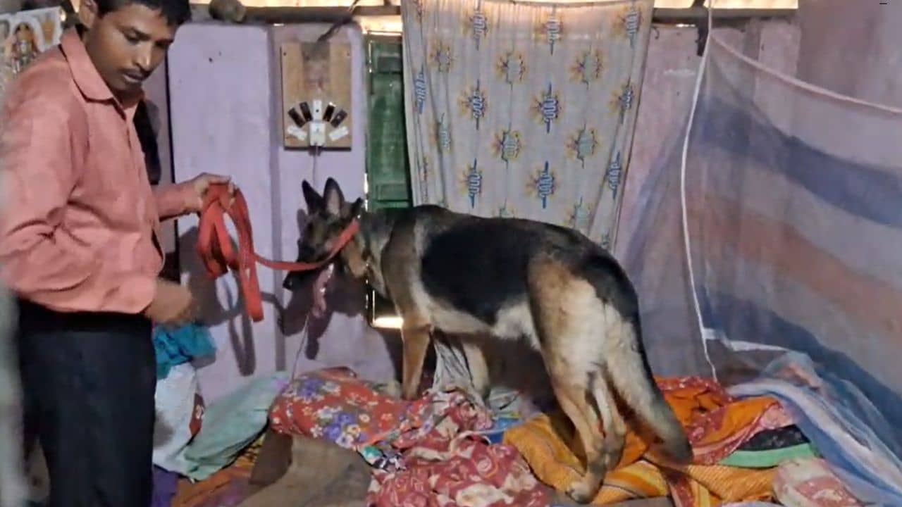 Nadia: বিছানায় চাপ চাপ রক্ত, ঘরে পড়ে লোহার রড, চাপড়ায় অঙ্গনওয়াড়ি কর্মী খুনে সূত্র খুঁজছে পুলিশ