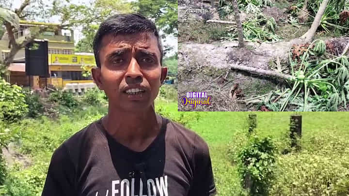 Minakha News: তৃণমূল Vs তৃণমূল, এক বিঘা জমির পেঁপে চলে গেল চাষির Minakha News: তৃণমূল Vs তৃণমূল, এক বিঘা জমির পেঁপে চলে গেল চাষির