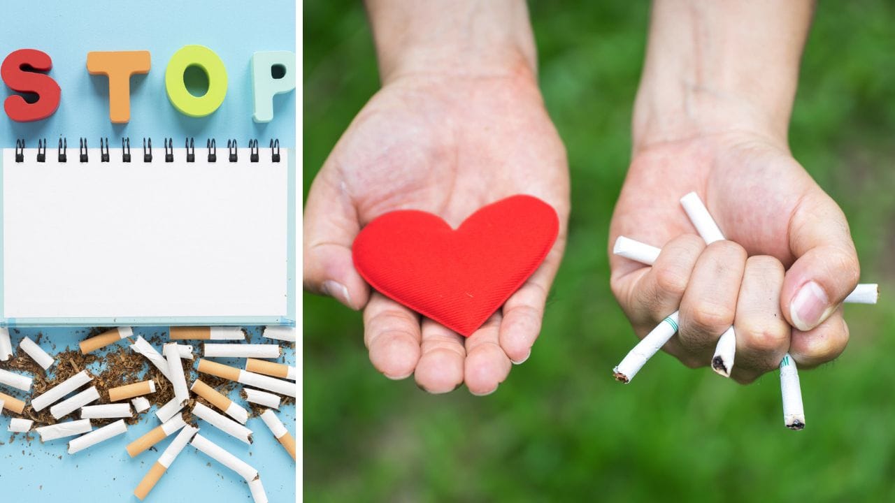 Anti-Tobacco Day 2025: দুম করে সিগারেট ছাড়বেন নাকি ধীরে ধীরে সংখ্যা কমাবেন? ধূমপান ছাড়ার সহজ নিয়ম জানালেন চিকিৎসক Anti-Tobacco Day 2025: দুম করে সিগারেট ছাড়বেন নাকি ধীরে ধীরে সংখ্যা কমাবেন? ধূমপান ছাড়ার সহজ নিয়ম জানালেন চিকিৎসক