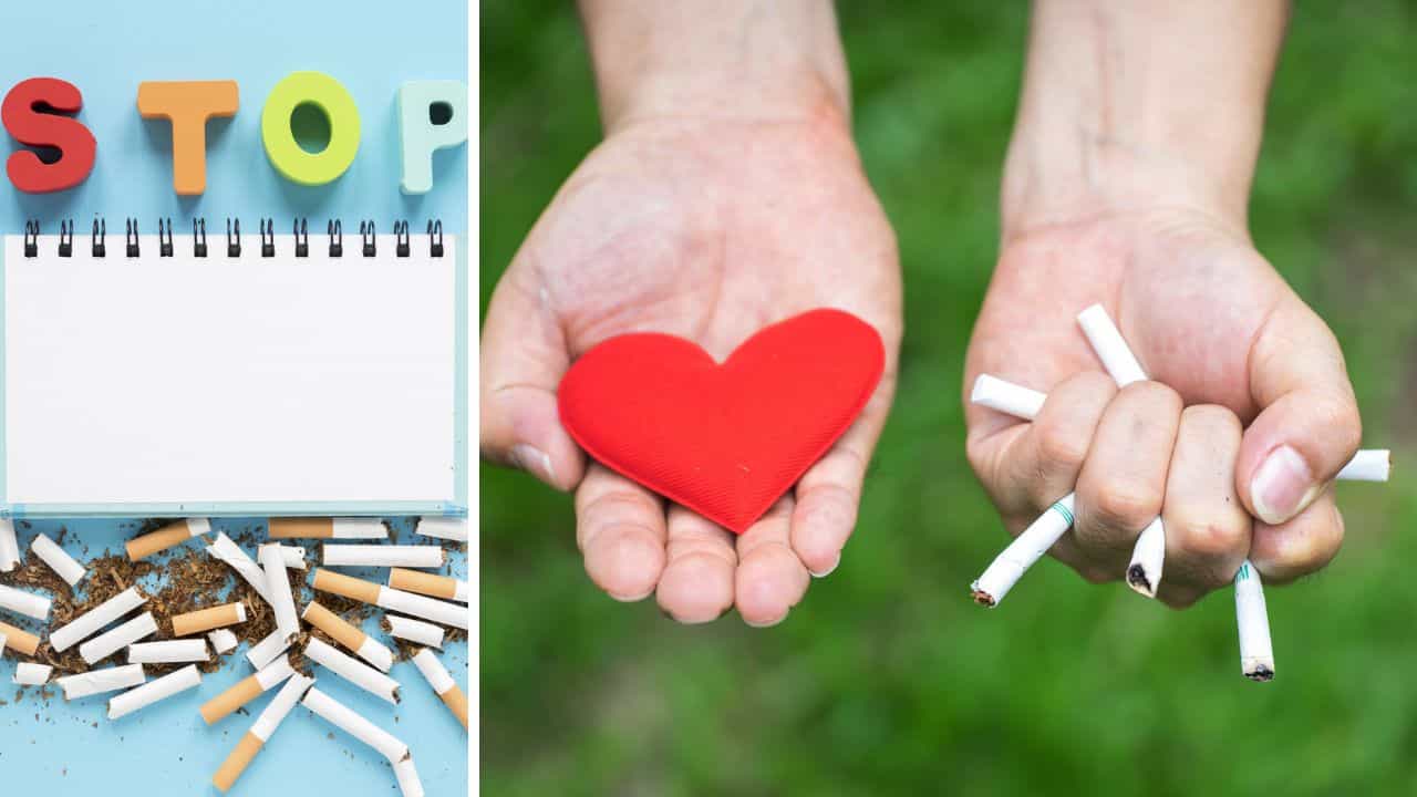 Anti-Tobacco Day 2025: দুম করে সিগারেট ছাড়বেন নাকি ধীরে ধীরে সংখ্যা কমাবেন? ধূমপান ছাড়ার সহজ নিয়ম জানালেন চিকিৎসক Anti-Tobacco Day 2025: দুম করে সিগারেট ছাড়বেন নাকি ধীরে ধীরে সংখ্যা কমাবেন? ধূমপান ছাড়ার সহজ নিয়ম জানালেন চিকিৎসক