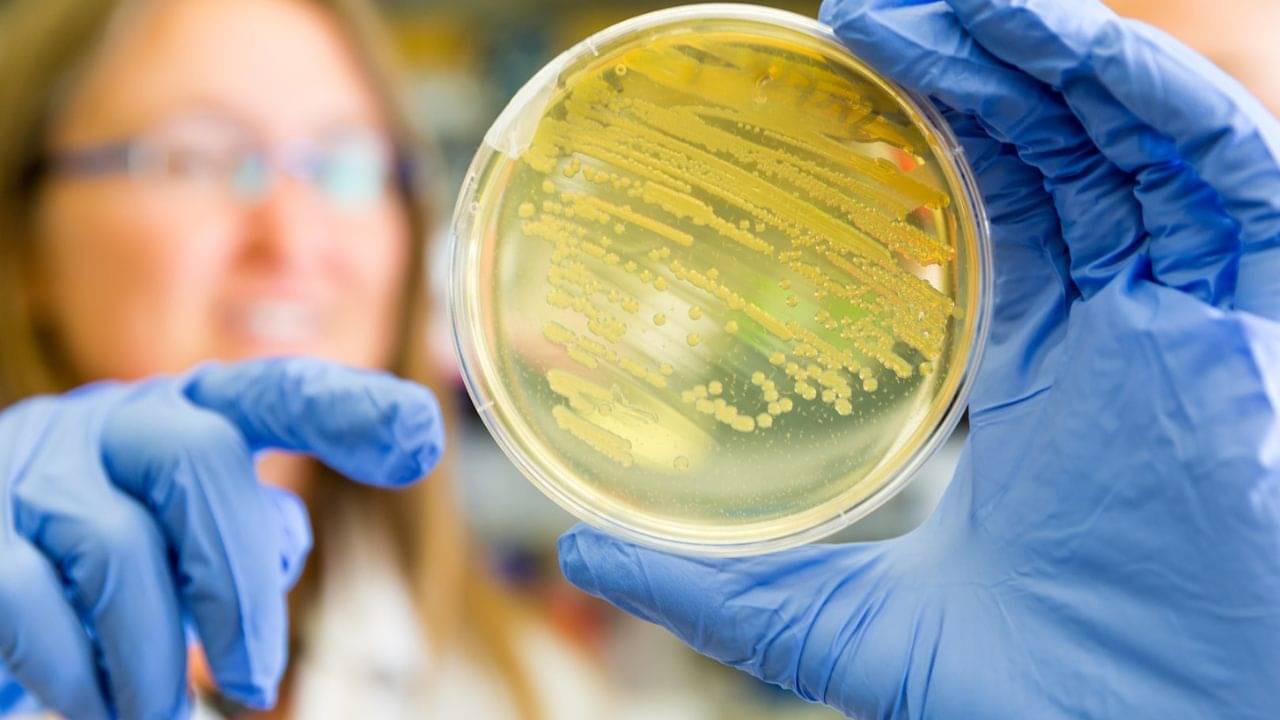 Career Tips: Biological Science-Nutrition-Psychology, উচ্চ মাধ্যমিকের পড়ুয়াদের জন্য কেন গুরুত্বপূর্ণ এই কম্বিনেশন?