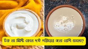 গরমে রোজ খাচ্ছেন দই? টক না মিষ্টি কোনটি খাওয়া বেশি ভালো?
