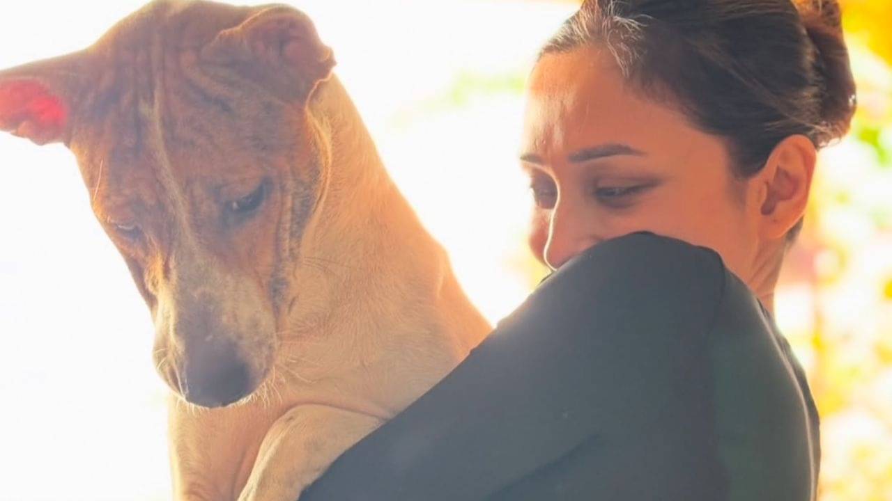 পোষ্যকে চেন দিয়ে বেঁধে রাখার জন্য ঘরে আনবেন না, বলছেন পোষ্যের মা মিমি