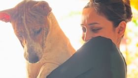 'পোষ্যকে চেন দিয়ে বেঁধে রাখলে ঘরে আনবেন না', বলছেন পোষ্যের মা মিমি 'পোষ্যকে চেন দিয়ে বেঁধে রাখলে ঘরে আনবেন না', বলছেন পোষ্যের মা মিমি