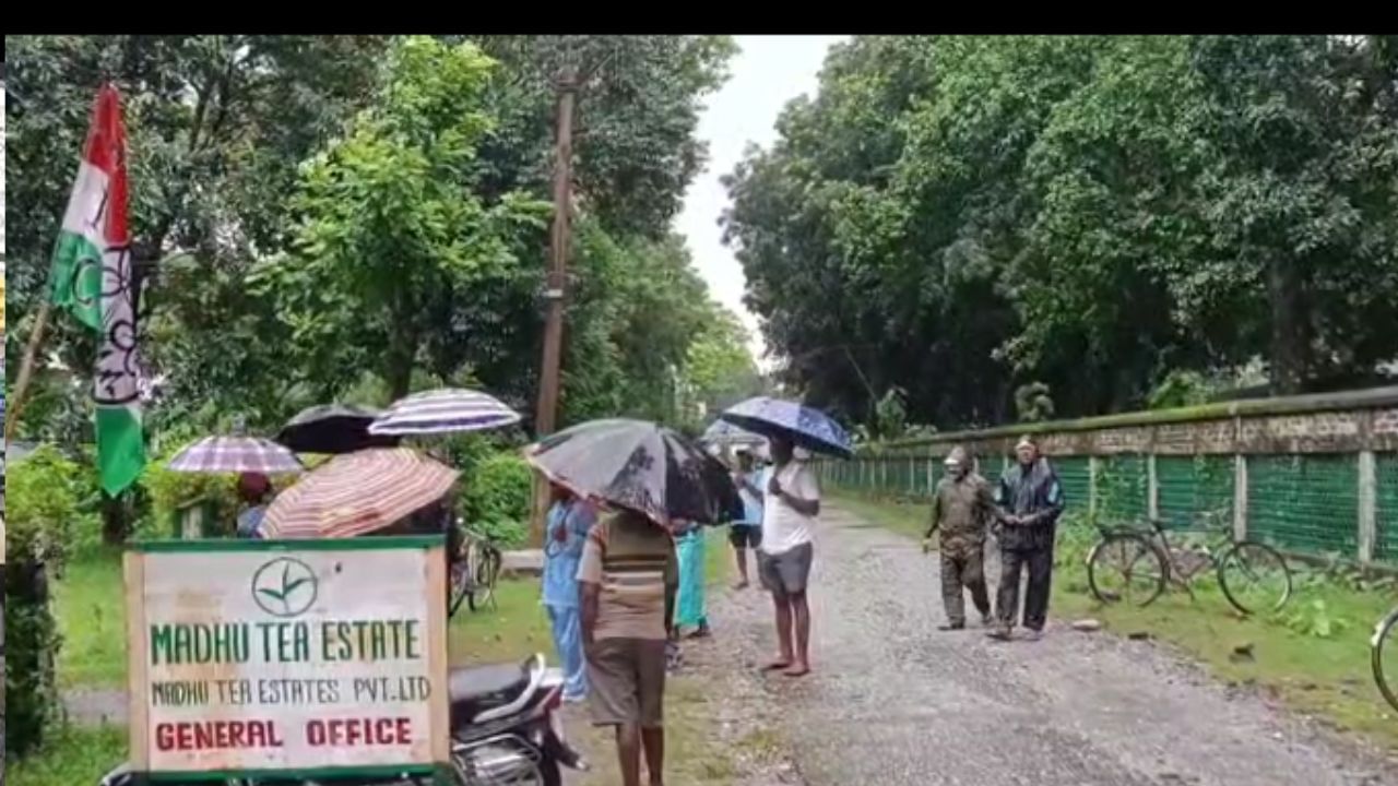 Alipurduar: খুলেও ২ বছরের মধ্যে ফের বন্ধ হয়ে গেল ডুয়ার্সের চা বাগান, কর্মহীন ৭০০ শ্রমিক Alipurduar: খুলেও ২ বছরের মধ্যে ফের বন্ধ হয়ে গেল ডুয়ার্সের চা বাগান, কর্মহীন ৭০০ শ্রমিক