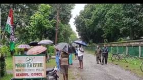 খুলেও ২ বছরের মধ্যে ফের বন্ধ হয়ে গেল ডুয়ার্সের চা বাগান, কর্মহীন ৭০০ খুলেও ২ বছরের মধ্যে ফের বন্ধ হয়ে গেল ডুয়ার্সের চা বাগান, কর্মহীন ৭০০