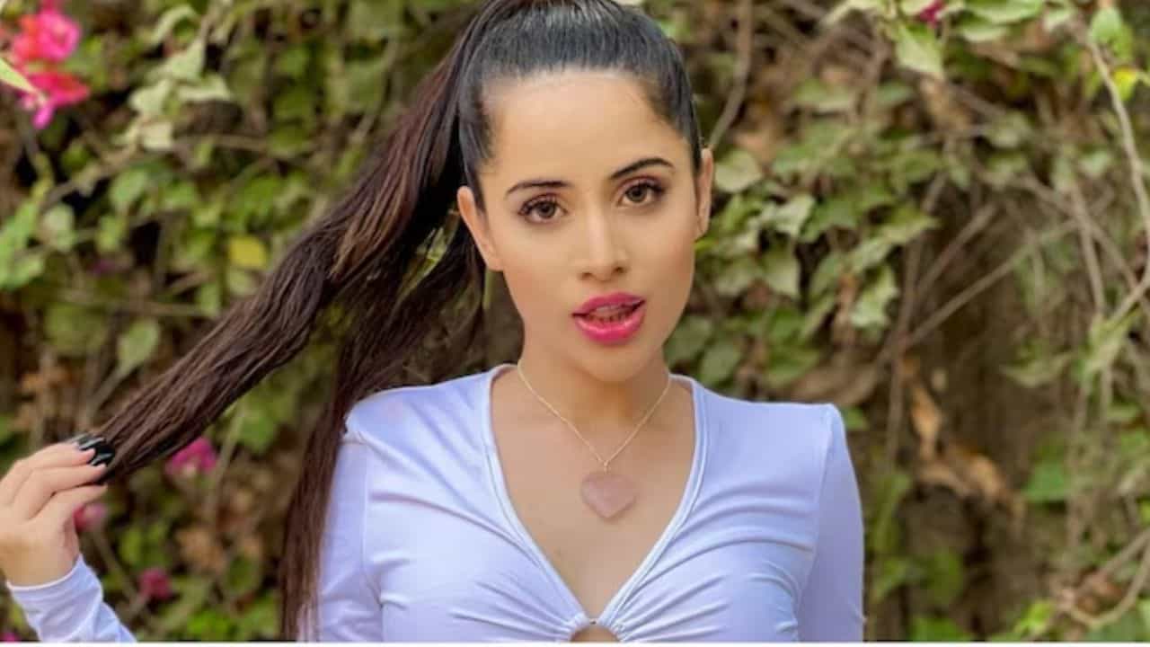 ব্রা পরেন না উরফি জাভেদ! কারণটা জানলে অবাক হয়ে যাবেন ব্রা পরেন না উরফি জাভেদ! কারণটা জানলে অবাক হয়ে যাবেন