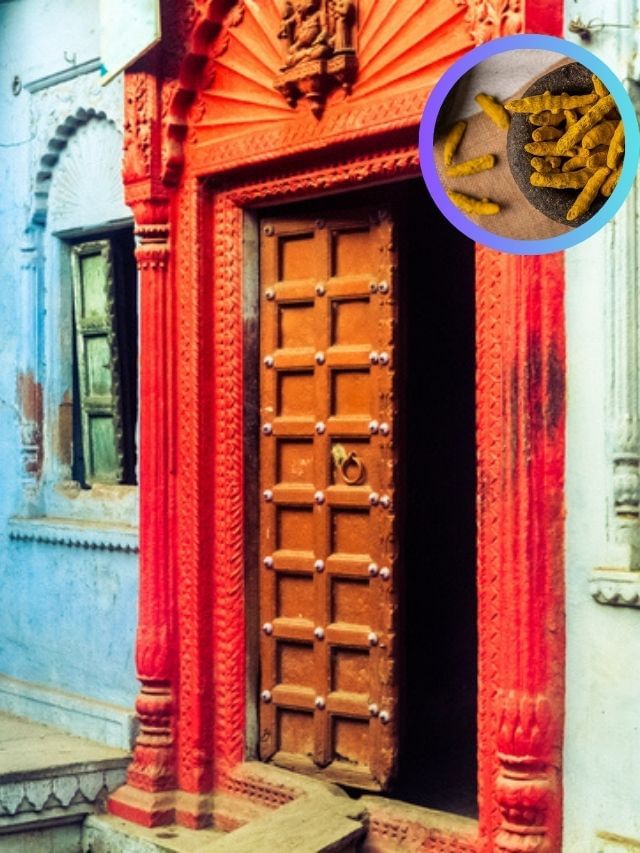 বাড়িতে শান্তি চাইলে মূল দরজায় বাঁধুন এই জিনিস, হবেই ম্যাজিক বাড়িতে শান্তি চাইলে মূল দরজায় বাঁধুন এই জিনিস, হবেই ম্যাজিক