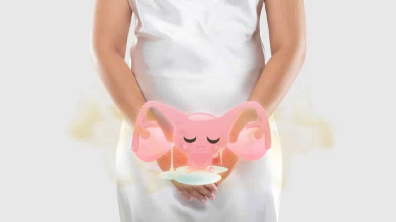 Periods Health: পিরিয়ডসের সময় সাদা স্রাব নিঃস্বরণ কীসের লক্ষণ? কতটা চিন্তায় থাকা দরকার? Periods Health: পিরিয়ডসের সময় সাদা স্রাব নিঃস্বরণ কীসের লক্ষণ? কতটা চিন্তায় থাকা দরকার?