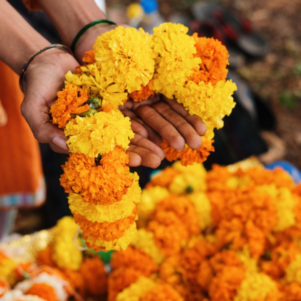 সত্যি কি ভাগ্য বদলায় না? জ্যোতিষশাস্ত্র বলছে ভাগ্যে বদল হওয়া সম্ভব। বেশ কয়েকটি মন্ত্র নিয়মিত জপ করলে ভাগ্যে বদল আনা সম্ভব। আরও ভালো করে বললে, ভাগ্যের চাকা বদলাতে সাহায্য করে কয়েকটি মন্ত্র। (Pic- Getty Images)