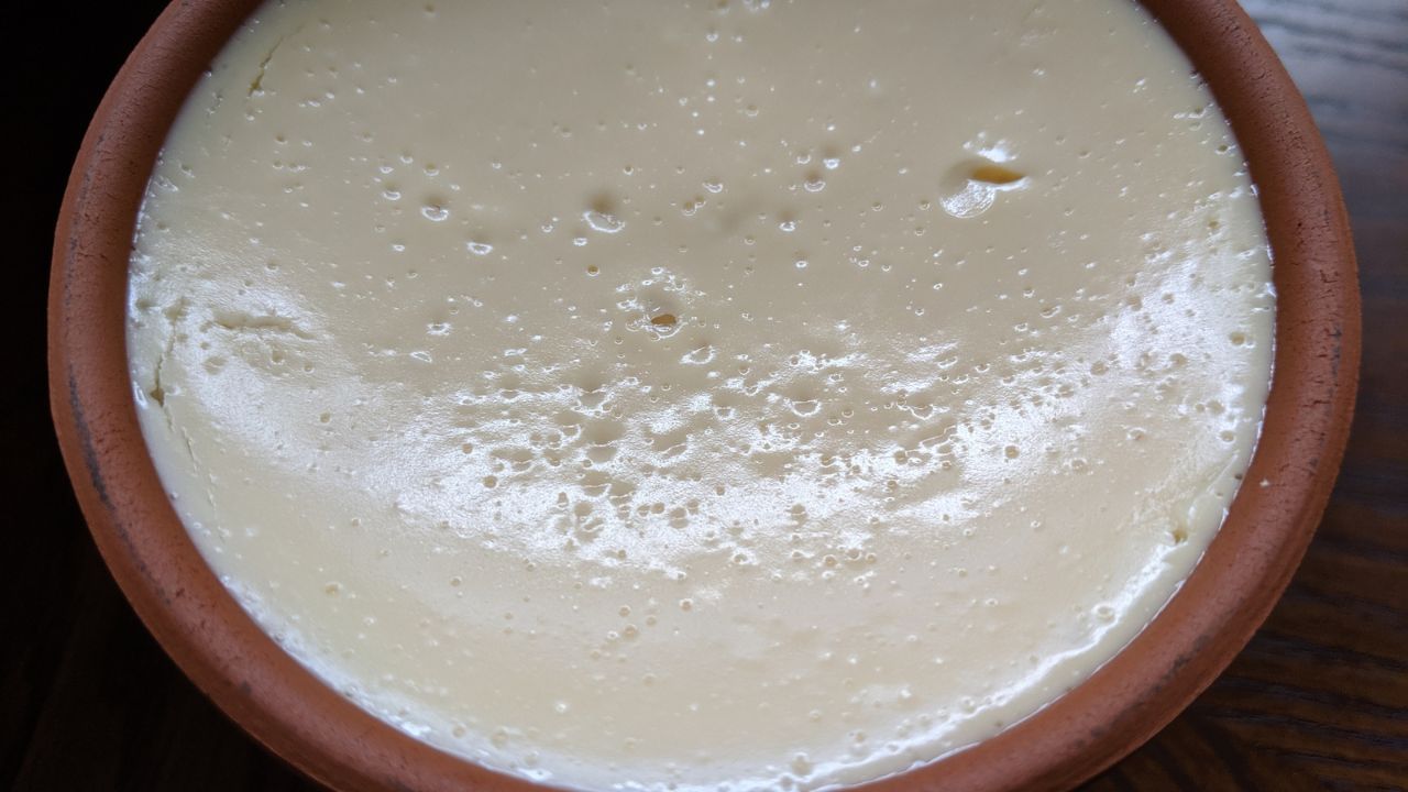 আসলে অনেকের পছন্দ মিষ্টি দই খাওয়া। আবার কারও কারও পছন্দ টক দই। এক ঝলকে জেনে নিন গরমে টক না মিষ্টি কোন দই খাওয়া বেশি ভালো। (Pic Credit- Getty Images)