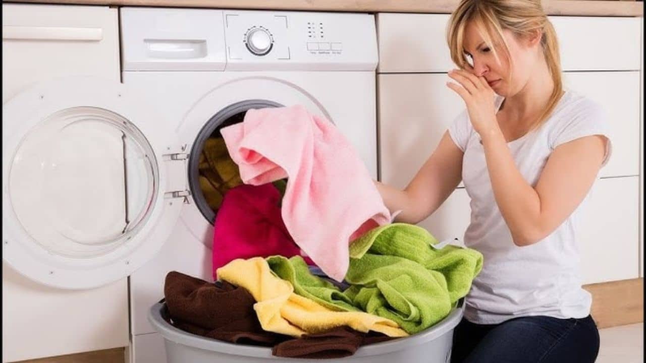 Stinky Smell: টানা বৃষ্টি হতেই জামাকাপড় থেকে বোটকা গন্ধ ছাড়ছে? কী ভাবে হবে সমস্যার সমাধান