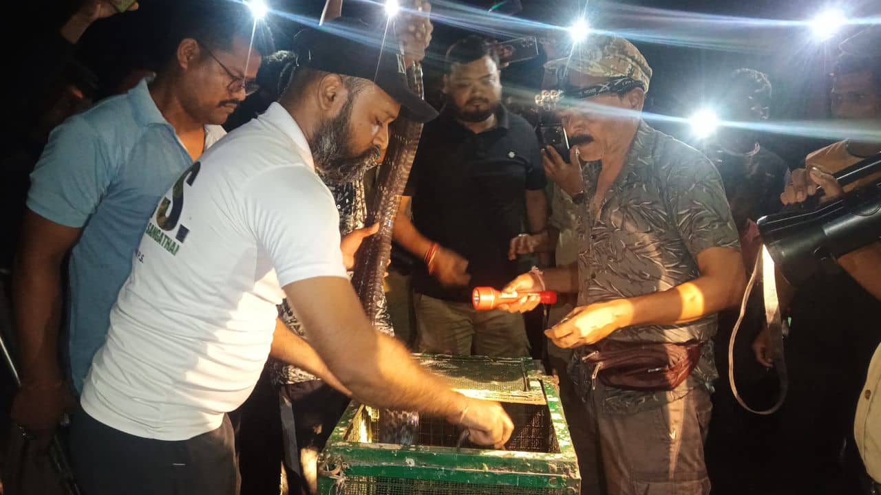 Jalpaiguri: ঘরের সামনে কুচকুচে কালো লম্বা ওটা কী? কাছে যেতেই চোখ কপালে ওঠার জোগাড়