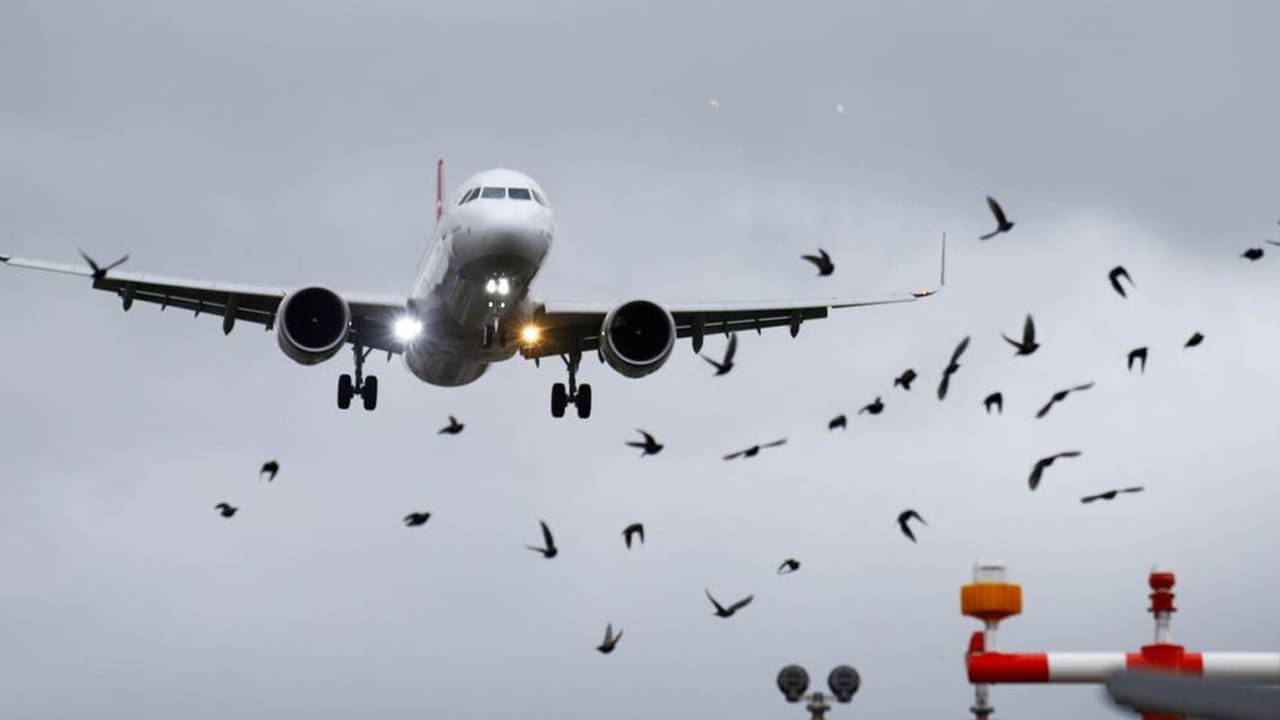 Kolkata Airport: বিপদ হাতে নিয়ে বিমান উড়ছে কলকাতায়, হাড়হিম করে দেবে এই তথ্যগুলো