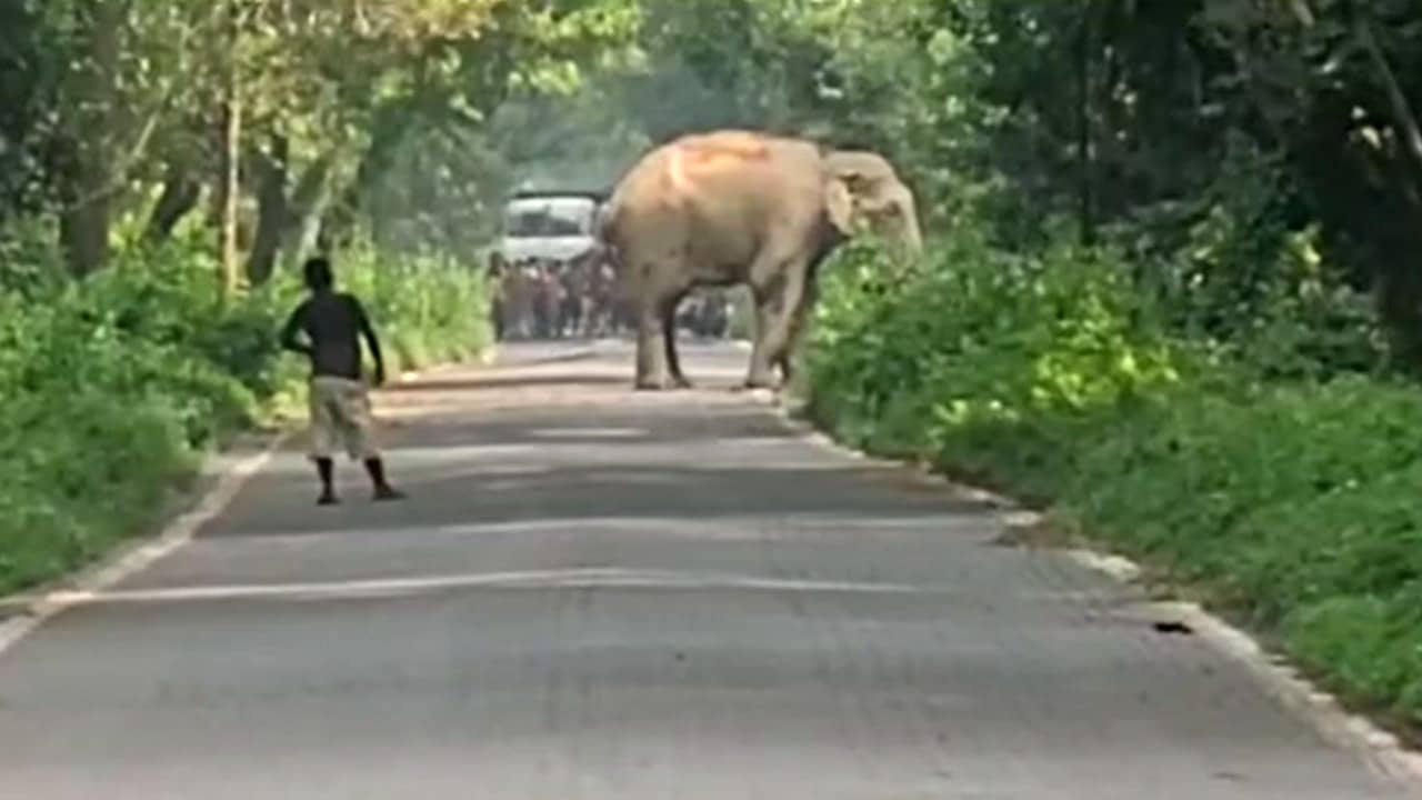 Alipurduar: প্রায় ৪০ মিনিট ধরে চলল পথ ‘অবরোধ’, গাড়ি নিয়ে ঠায় দাঁড়িয়ে থাকলেও অবরোধকারীকে ভয়ে দেখে কিছুই বলতে পারলেন না পর্যটকরা