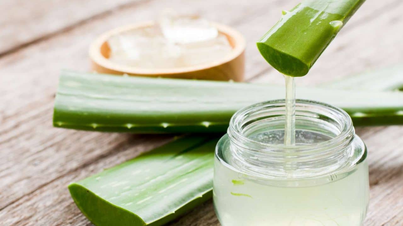 অ্যালোভেরা জেলে দু-ফোঁটা এটি মেশান , ৫ মিনিটেই ফিরবে জেল্লা