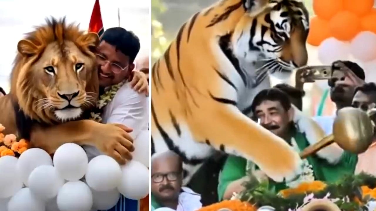 Anubrata-Kajal: বাঘরূপী কেষ্ট, সিংহরূপী কাজলের গর্জনে কাঁপছে বীরভূম, দল ‘দ্বন্দ্ব’ ভুলতে বললেও অনুগামীদের থামাবে কে! Anubrata-Kajal: বাঘরূপী কেষ্ট, সিংহরূপী কাজলের গর্জনে কাঁপছে বীরভূম, দল ‘দ্বন্দ্ব’ ভুলতে বললেও অনুগামীদের থামাবে কে!