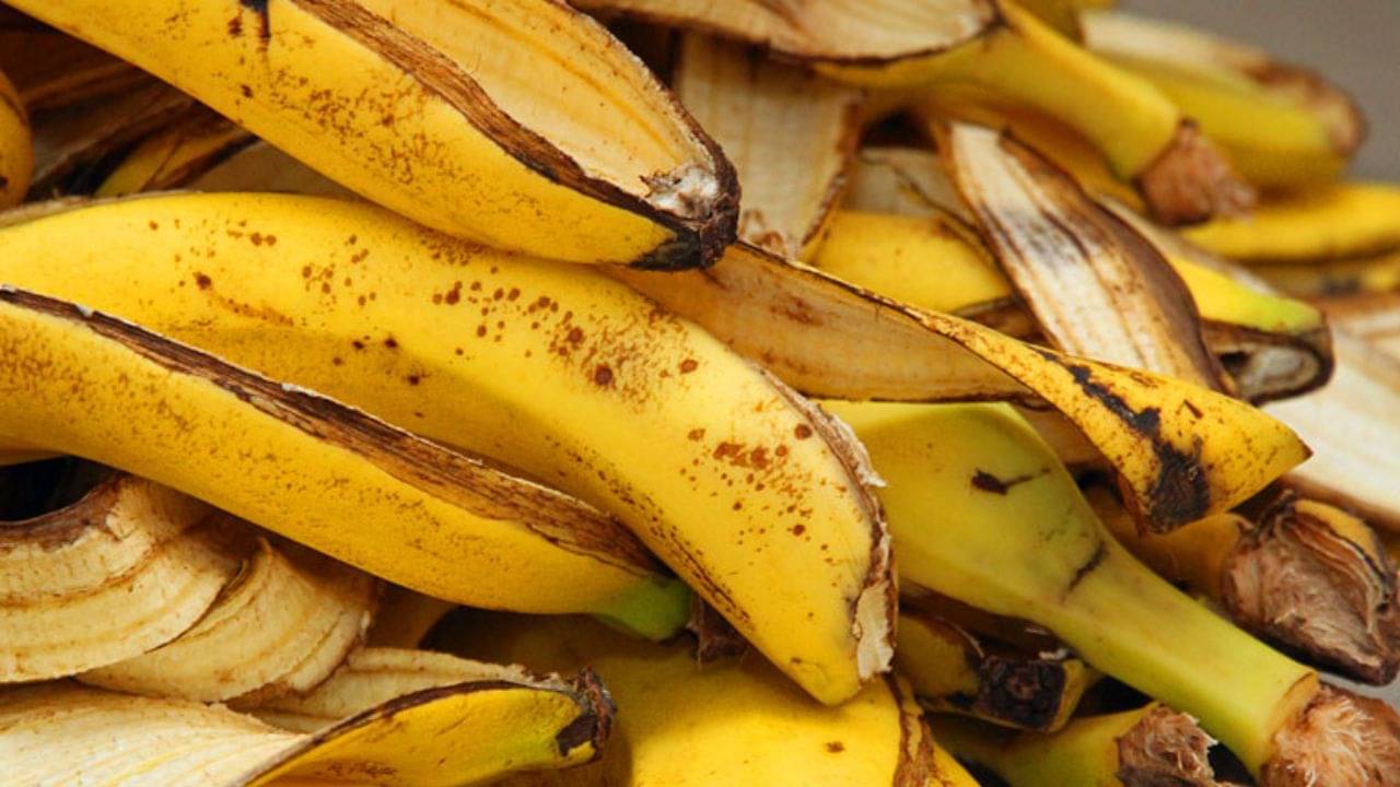 কলা খেয়ে খোসা ফেলে দিচ্ছেন? এর অন্য ব্যবহার জানলে অবাক হবেন