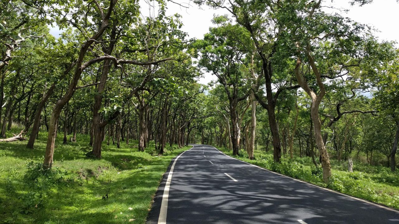 জাতীয় সড়ক ২৭৫ ধরে বন্দিপুর জাতীয় উদ্যান হয়ে যে রাস্তা চলে গিয়েছে, এই সৌন্দর্য্য বর্ণনা করা মুখের ভাষায় প্রায় অসম্ভব। এই রাস্তাও রয়েছে বাইকারদের তালিকায়। ২১৭ কিলোমিটার এই রাস্তা দিয়ে যেতে সময় লাগে প্রায় ৪ ঘণ্টা।