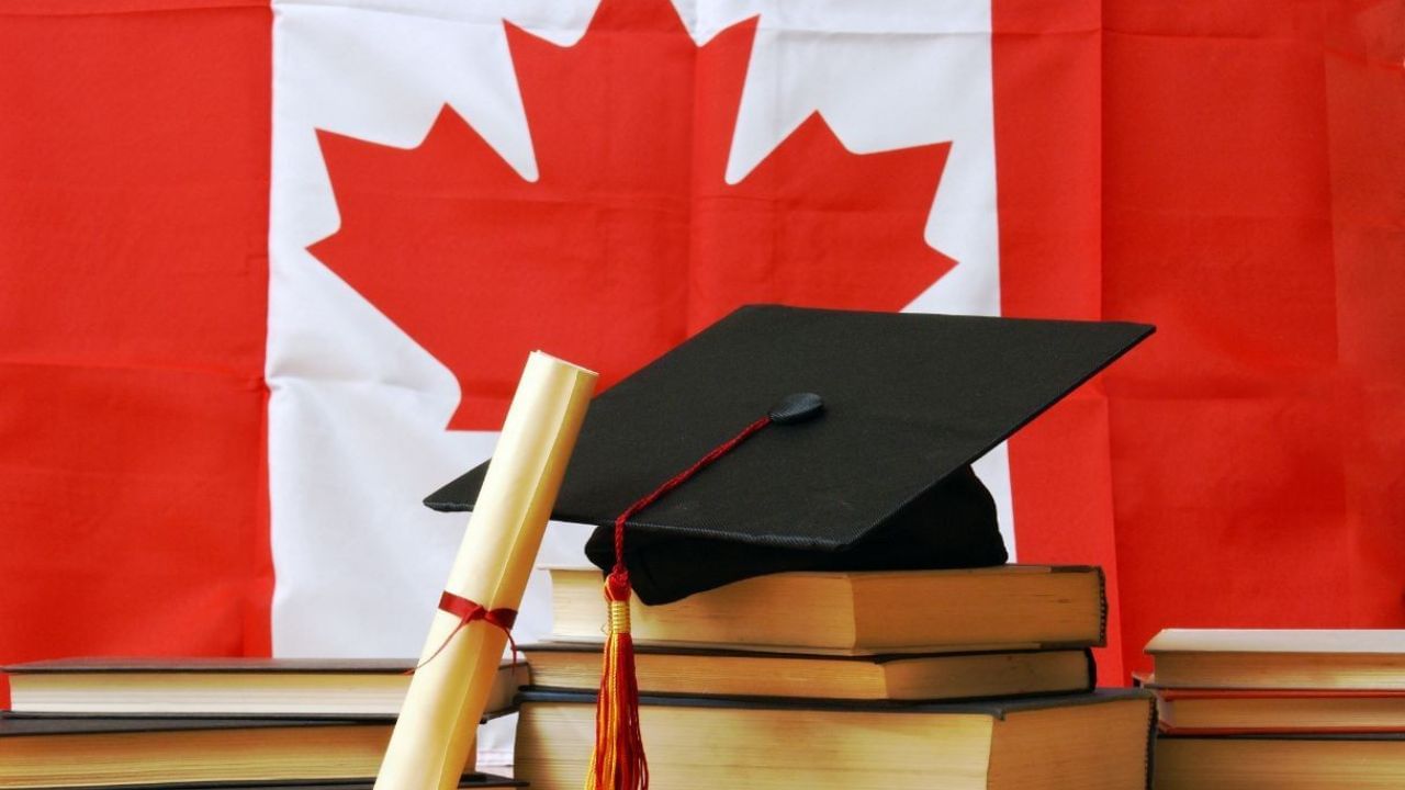 Canada Higher Studies: উচ্চ শিক্ষার জন্য কানাডায় যেতে চান? কোন বিশ্ববিদ্যালয়ের ভর্তির হার কেমন?