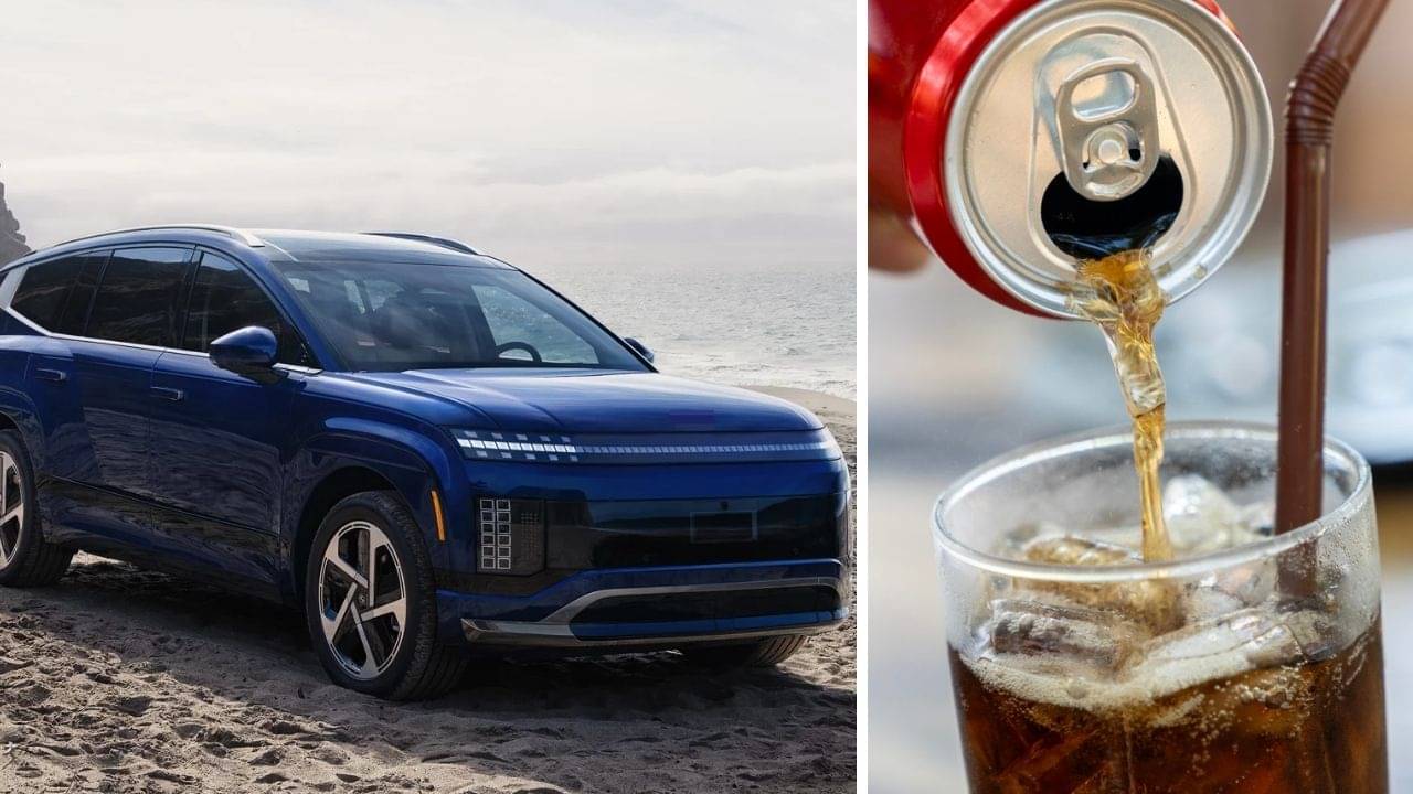 সস্তা Cold Drinks-এর বিক্রি বেশি কিন্তু সস্তা Nano বিক্রিই হয়নি! ভারতীয়দের এমন দ্বিচারিতার কারণ কী?