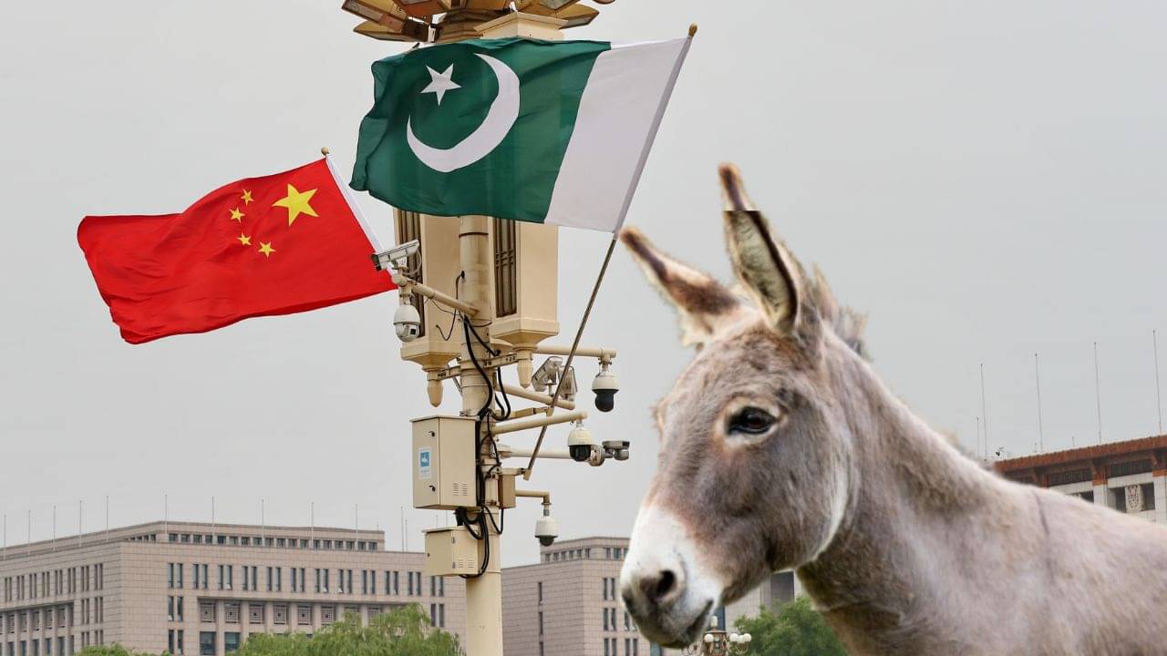 লাখ লাখ হত্যা করেছে China, এবার Pakistan থেকেও গাধা এনেও করা হবে খুন! কারণটা কী?