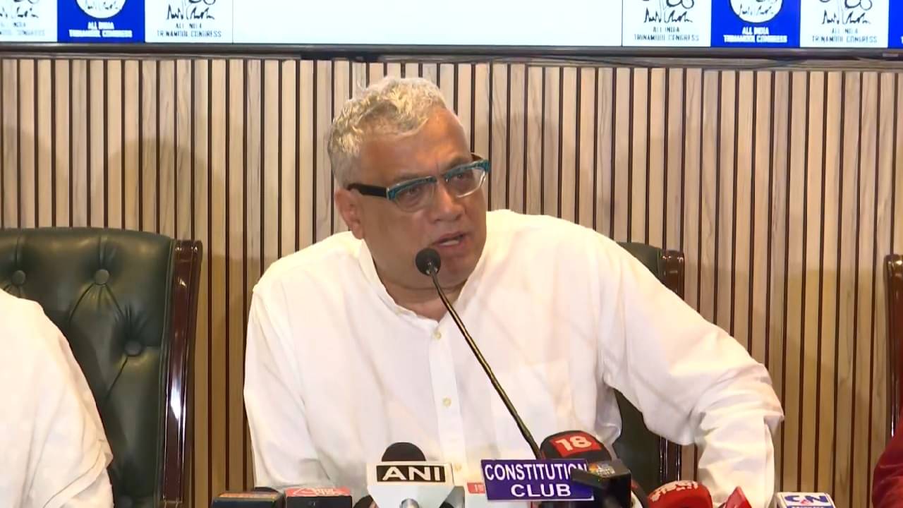 Election Commission: ‘বিজেপি ভোটে ৫০ আসনও পাবে না, তাই পিছনের দরজা দিয়ে NRC’, দিল্লিতে চাপ বাড়াচ্ছে তৃণমূল