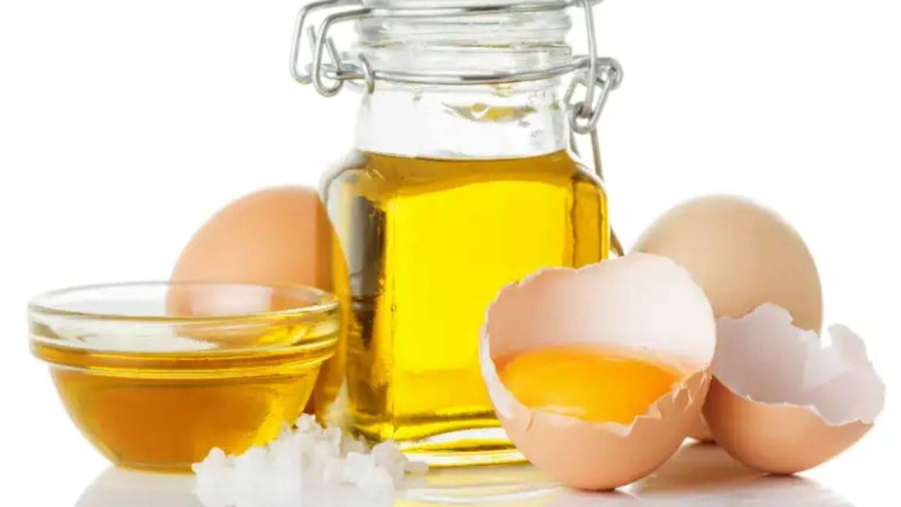 ডিমের কুসুম দিয়েও তৈরি হয় তেল! এর উপকার জানলে অন্য সব ফেলেই দেবেন