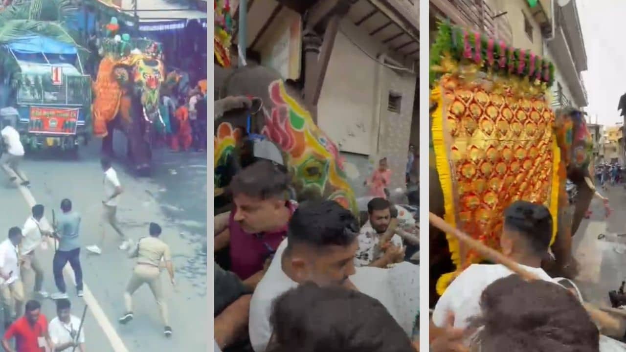 VIDEO: রথযাত্রায় ভয়ঙ্কর কাণ্ড! মেজাজ হারিয়ে ছুট হাতির, তেড়ে গেল পুণ্যার্থীদের দিকে