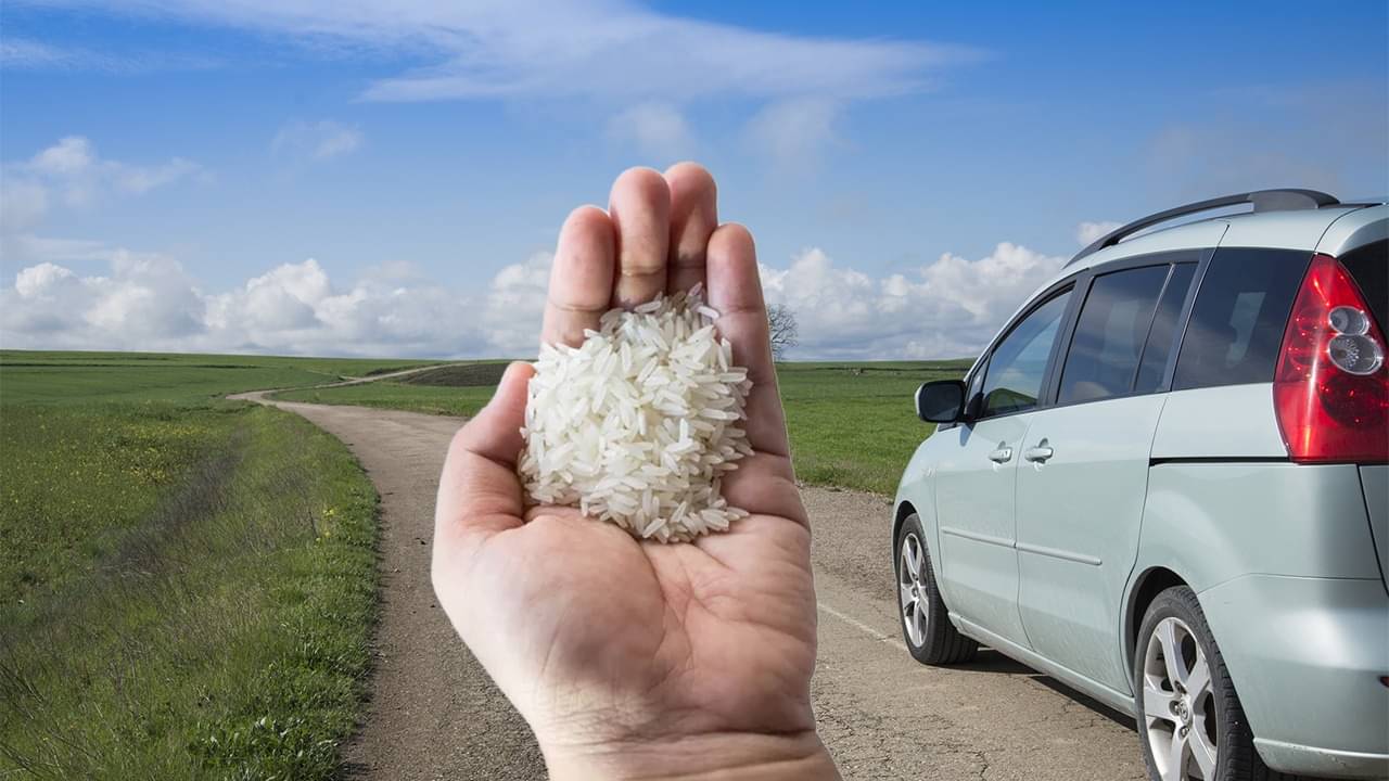 এবার চাল দিয়ে গাড়ি চালাবে ভারত, বড় ঘোষণা ফুড কর্পোরেশনের!