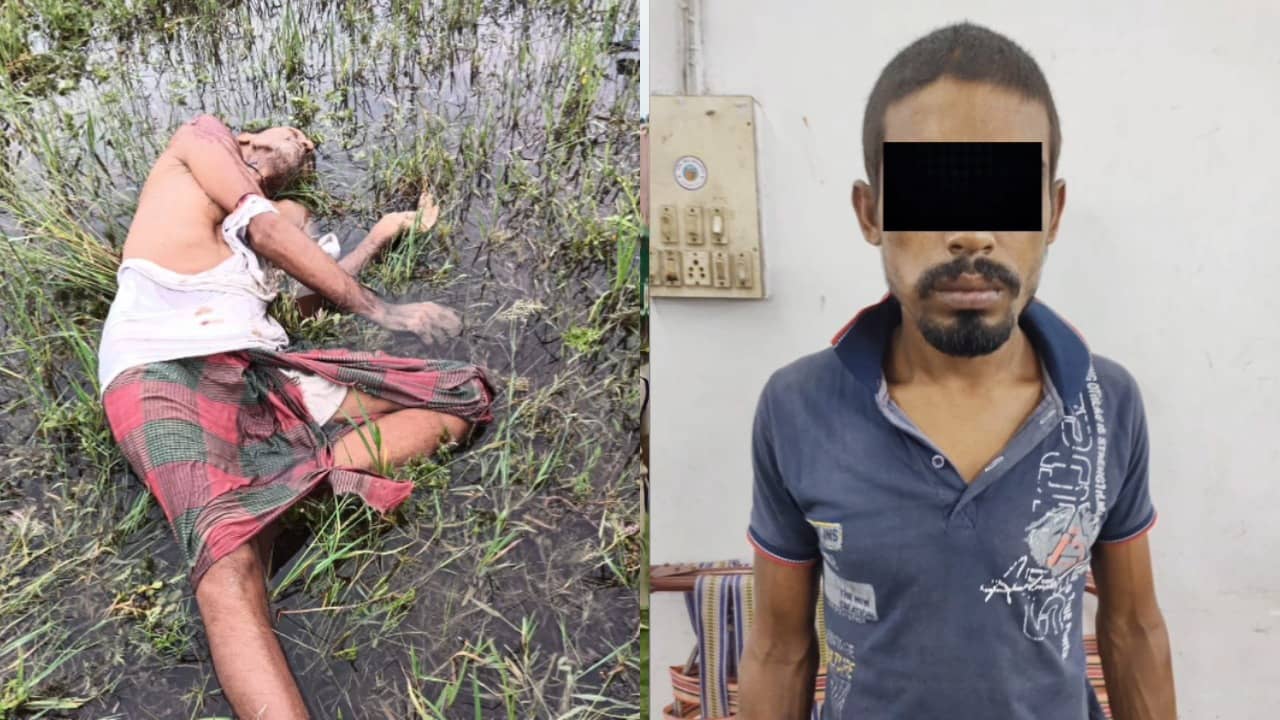 Diamond Harbour: ৯ বছর চাষ করার পর আচমকা নিষেধ! বচসার পরই মালিককে কুপিয়ে খুনের অভিযোগ ভাগচাষীর বিরুদ্ধে