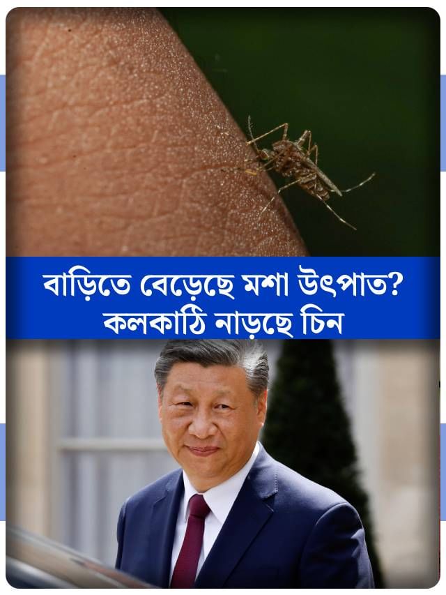 মশা এখন চিনের অস্ত্র, তাই কি বাড়ছে উপদ্রব? মশা এখন চিনের অস্ত্র, তাই কি বাড়ছে উপদ্রব?