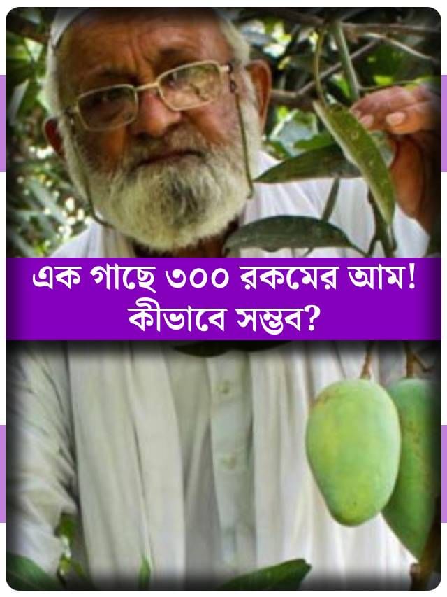 একটি গাছেই ৩০০ রকমের আম ফলিয়েছেন, ভারতের ‘ম্যাঙ্গো ম্যান’কে চেনেন?