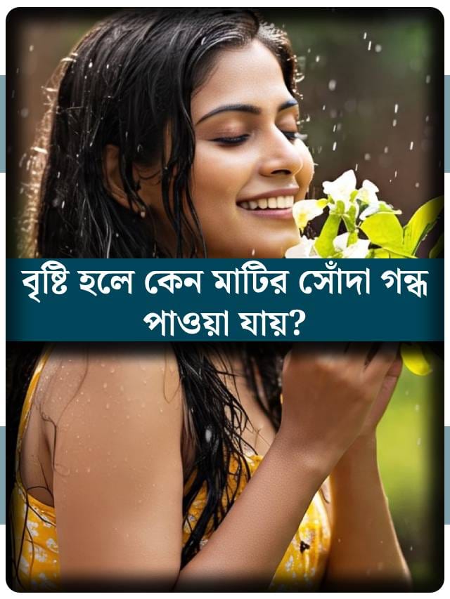 দীর্ঘ গরমের পর বৃষ্টি হলে কেন মাটি থেকে সোঁদা গন্ধ বেরোয়?