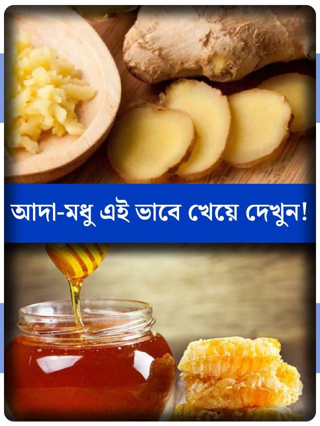 লেজ তুলে দৌড় দেবে ঠান্ডা লাগা, গলা ব্যথা! আদা-মধু এভাবে খেয়ে দেখুন লেজ তুলে দৌড় দেবে ঠান্ডা লাগা, গলা ব্যথা! আদা-মধু এভাবে খেয়ে দেখুন