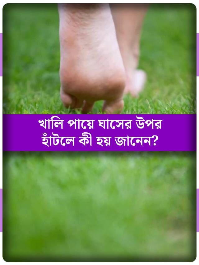 সকালবেলা ১০ মিনিটে খালি পায়ে ঘাসের উপর হাঁটলে কী হয় জানেন? সকালবেলা ১০ মিনিটে খালি পায়ে ঘাসের উপর হাঁটলে কী হয় জানেন?