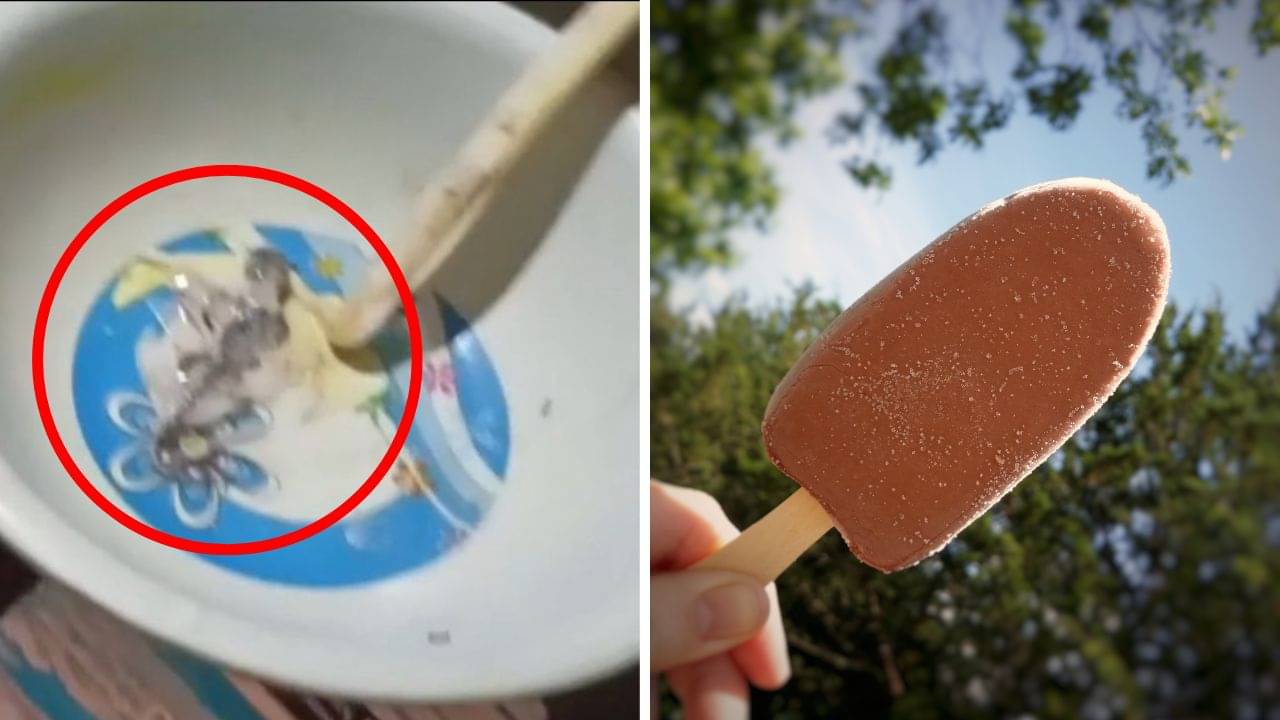 Lizard in Ice-Cream: আইসক্রিমের ভিতরে টিকটিকি! প্রথম কামড়টা বসাতেই ভয়ে সিঁটিয়ে গেল নাবালক