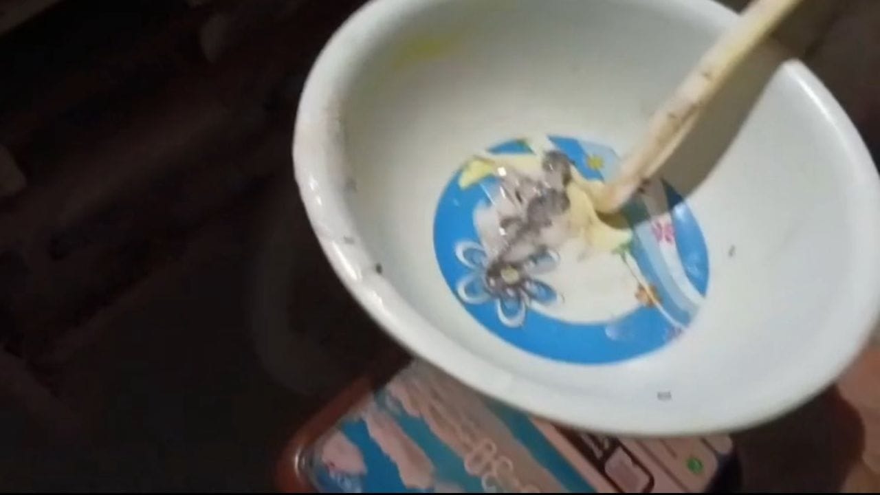 Lizard in Ice-Cream: আইসক্রিমের ভিতরে টিকটিকি! প্রথম কামড়টা বসাতেই ভয়ে সিঁটিয়ে গেল নাবালক - Bengali News | Lizard Found in Ice Cream in Punjab, Vendor Keeps Selling | TV9 Bangla News