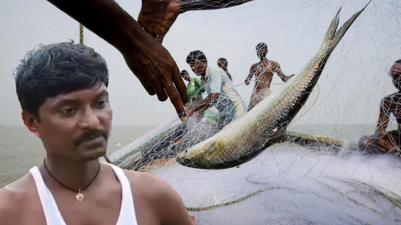 100 ton Ilish: জালে উঠেছিল ১০০ টন ইলিশ! তাও হতাশ মুখে ফিরতে হচ্ছে মৎস্যজীবীদের 100 ton Ilish: জালে উঠেছিল ১০০ টন ইলিশ! তাও হতাশ মুখে ফিরতে হচ্ছে মৎস্যজীবীদের