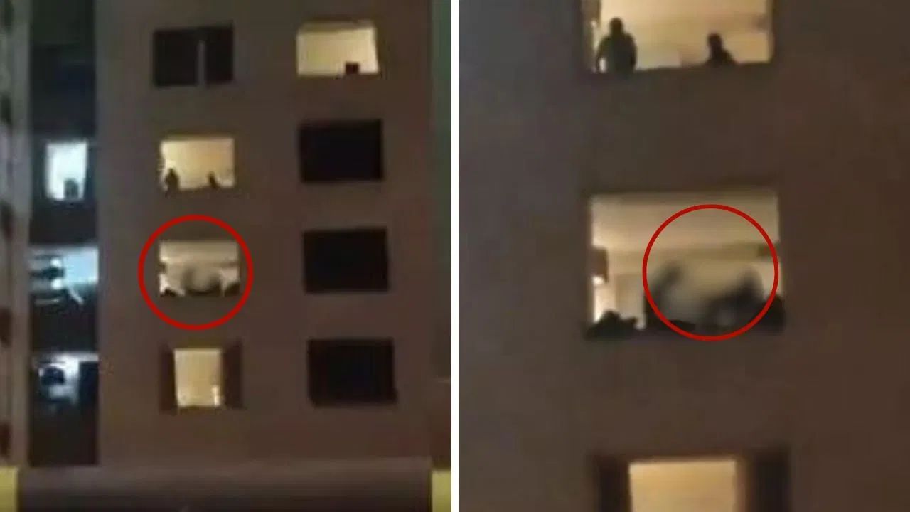 Viral: পাঁচতারা হোটেলে যাওয়ার এই খেসারত! ‘খোলা জানালায়’ ট্রাফিক জ্যাম