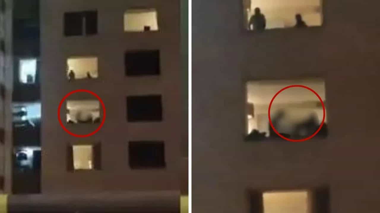 Viral: পাঁচতারা হোটেলে যাওয়ার এই খেসারত! 'খোলা জানালায়' ট্রাফিক জ্যাম Viral: পাঁচতারা হোটেলে যাওয়ার এই খেসারত! 'খোলা জানালায়' ট্রাফিক জ্যাম