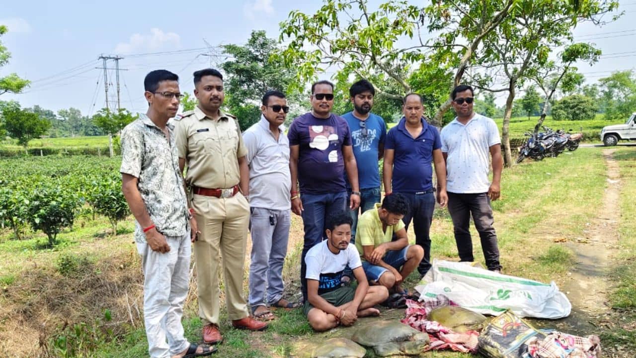 Jalpaiguri: বাজারে দিকে নিয়ে যাওয়া হচ্ছে... খবর পান শুধু এটুকুই, জালে ধরা পড়ল বড়সড় চক্র