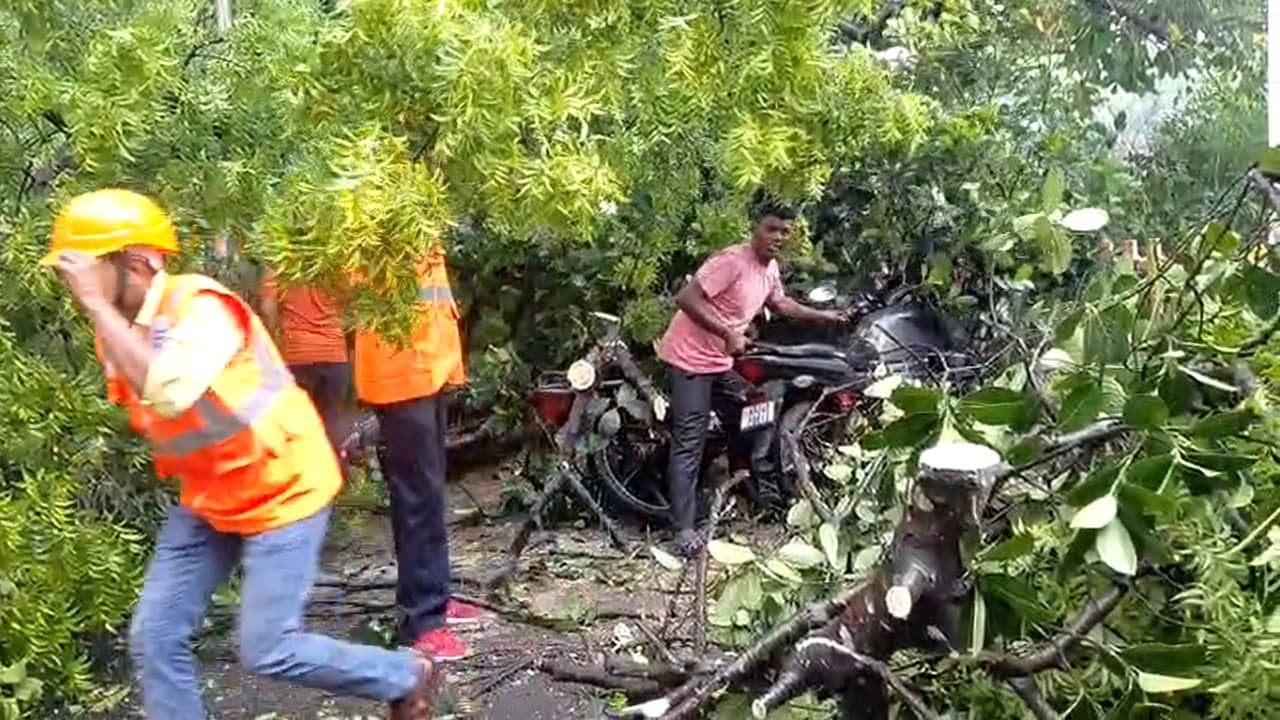Kalbaisakhi: কোথাও উপড়ে গেল গাছ, কোথাও উড়ে গেল বাড়ির চাল! সব তছনছ করে দিল কালবৈশাখী