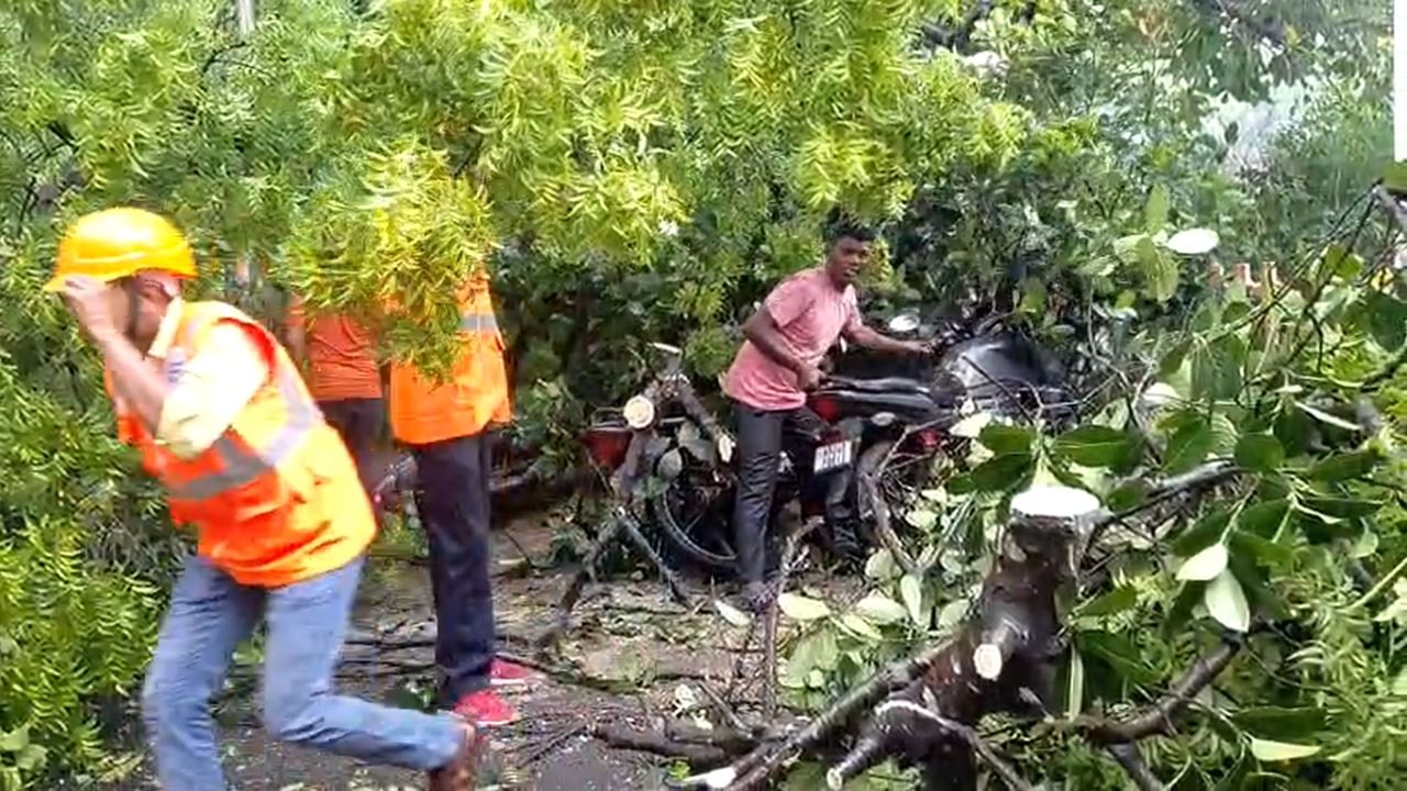 Kalbaisakhi: কোথাও উপড়ে গেল গাছ, কোথাও উড়ে গেল বাড়ির চাল! সব তছনছ করে দিল কালবৈশাখী Kalbaisakhi: কোথাও উপড়ে গেল গাছ, কোথাও উড়ে গেল বাড়ির চাল! সব তছনছ করে দিল কালবৈশাখী