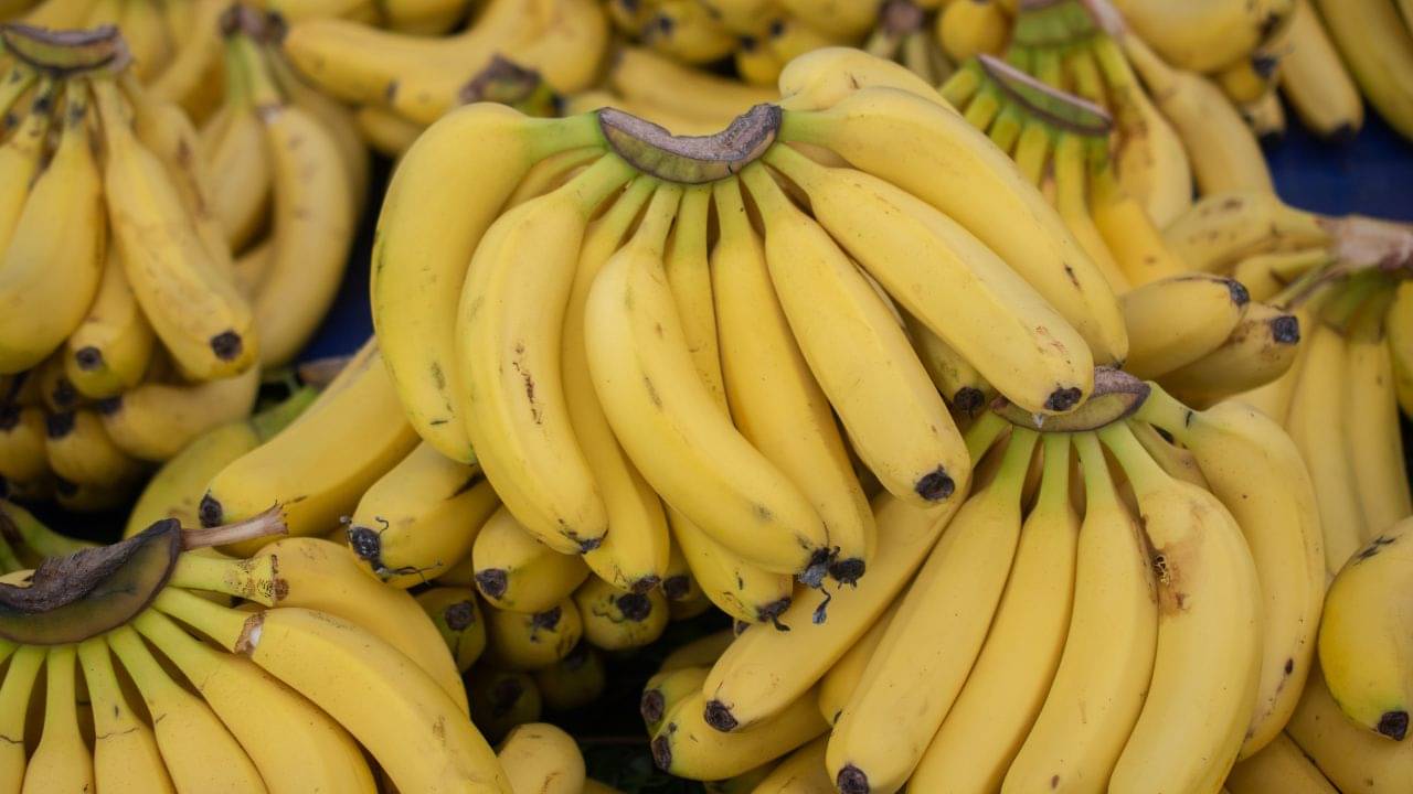 Banana: রাখুন এই উপায়ে, কলা তরতাজা থাকবে দীর্ঘদিন