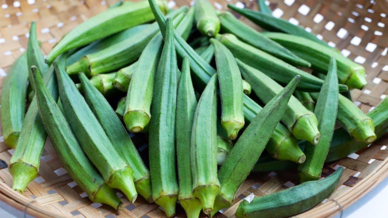 রোজ সকালে খালি পেটে এক গ্লাস ঢ্যাঁড়শ টনিক, জানেন কী কী রোগ দূর হবে?