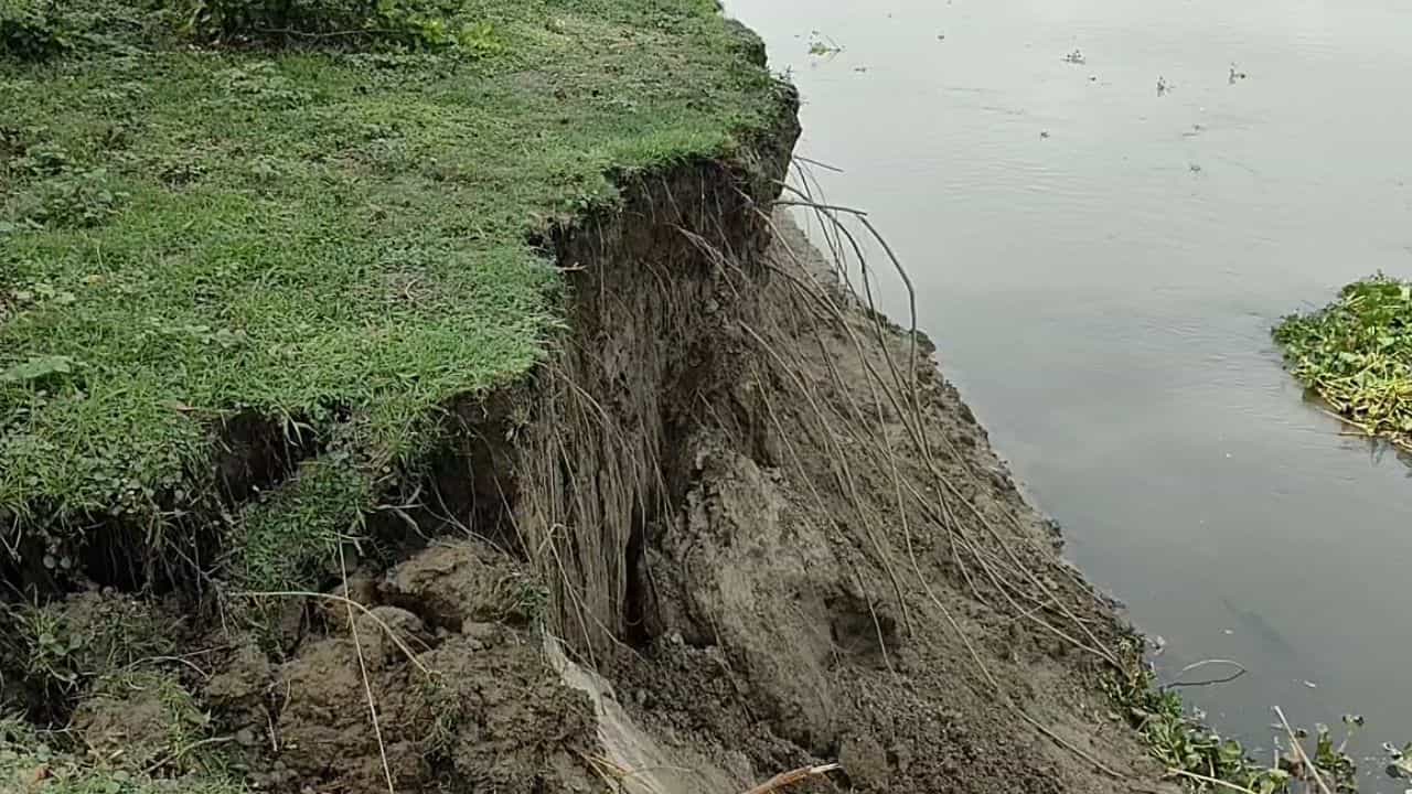 River Erosion: একটু একটু করে নদীগর্ভে ঢুকে যাচ্ছে ডাঙ্গি ফরেস্ট, বাড়িঘর বাঁচবে তো! চিন্তায় বাসিন্দারা